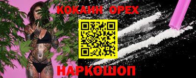 крисы Ставрополь