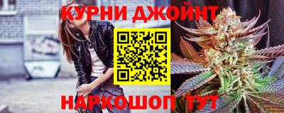 крисы Ставрополь
