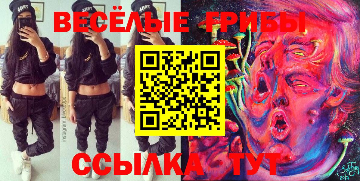 Псилоцибиновые грибы прущие грибы Юрга